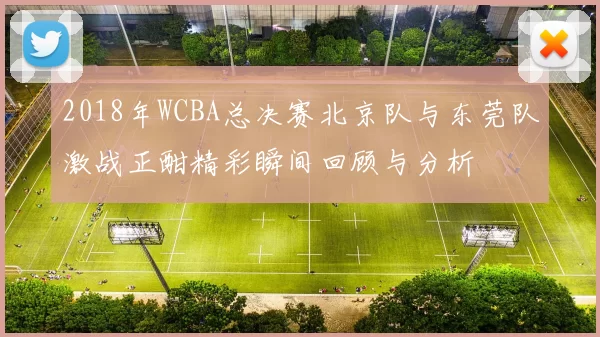 2018年WCBA总决赛北京队与东莞队激战正酣精彩瞬间回顾与分析