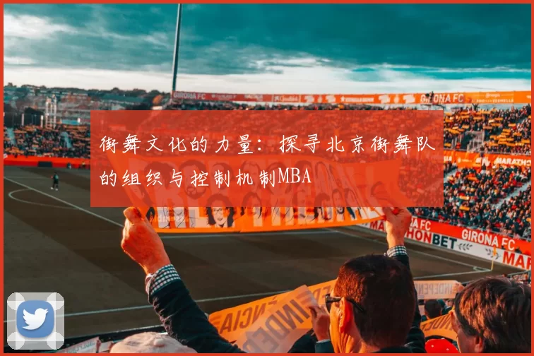 街舞文化的力量：探寻北京街舞队的组织与控制机制MBA