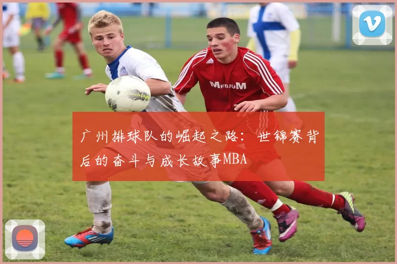广州排球队的崛起之路：世锦赛背后的奋斗与成长故事MBA