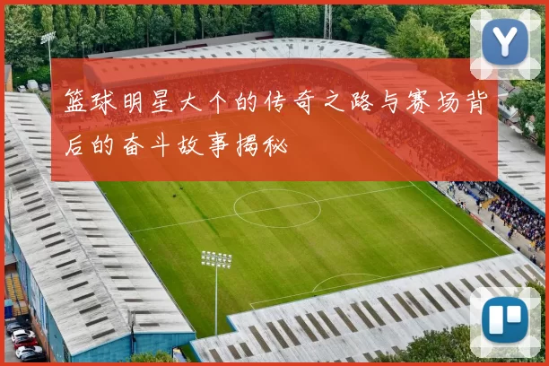 篮球明星大个的传奇之路与赛场背后的奋斗故事揭秘