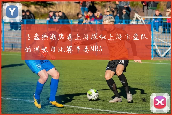 飞盘热潮席卷上海探秘上海飞盘队的训练与比赛节奏MBA