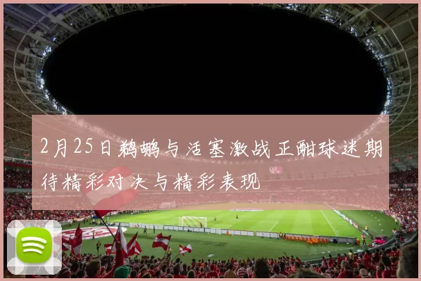 2月25日鹈鹕与活塞激战正酣球迷期待精彩对决与精彩表现